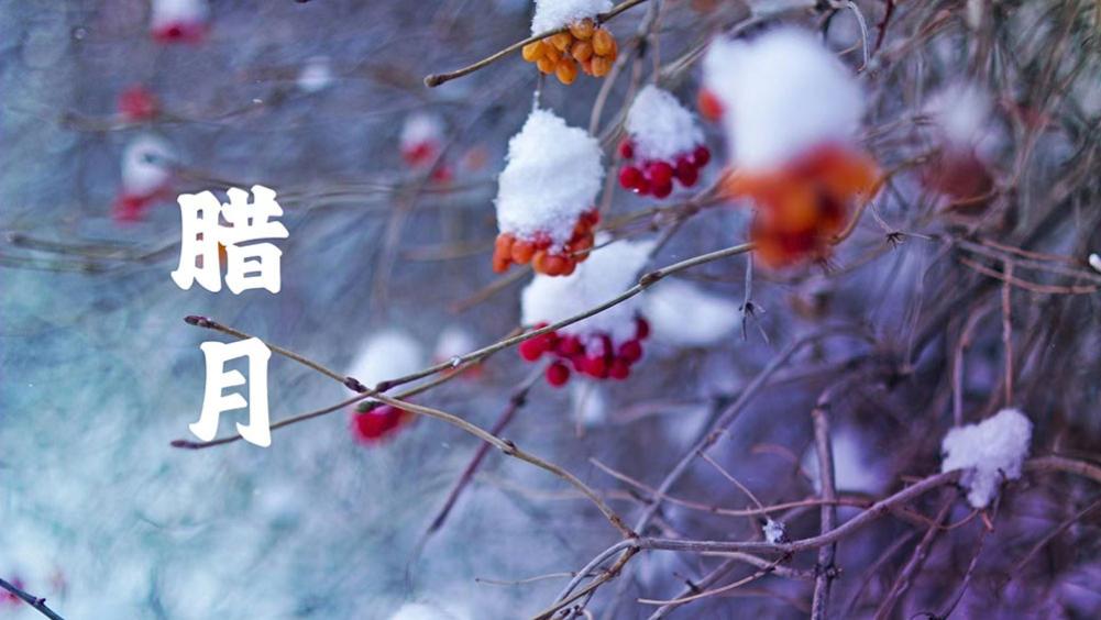 |进入腊月，牢记：1不买，2要做，3不吃，2忌讳，为过年做好准备