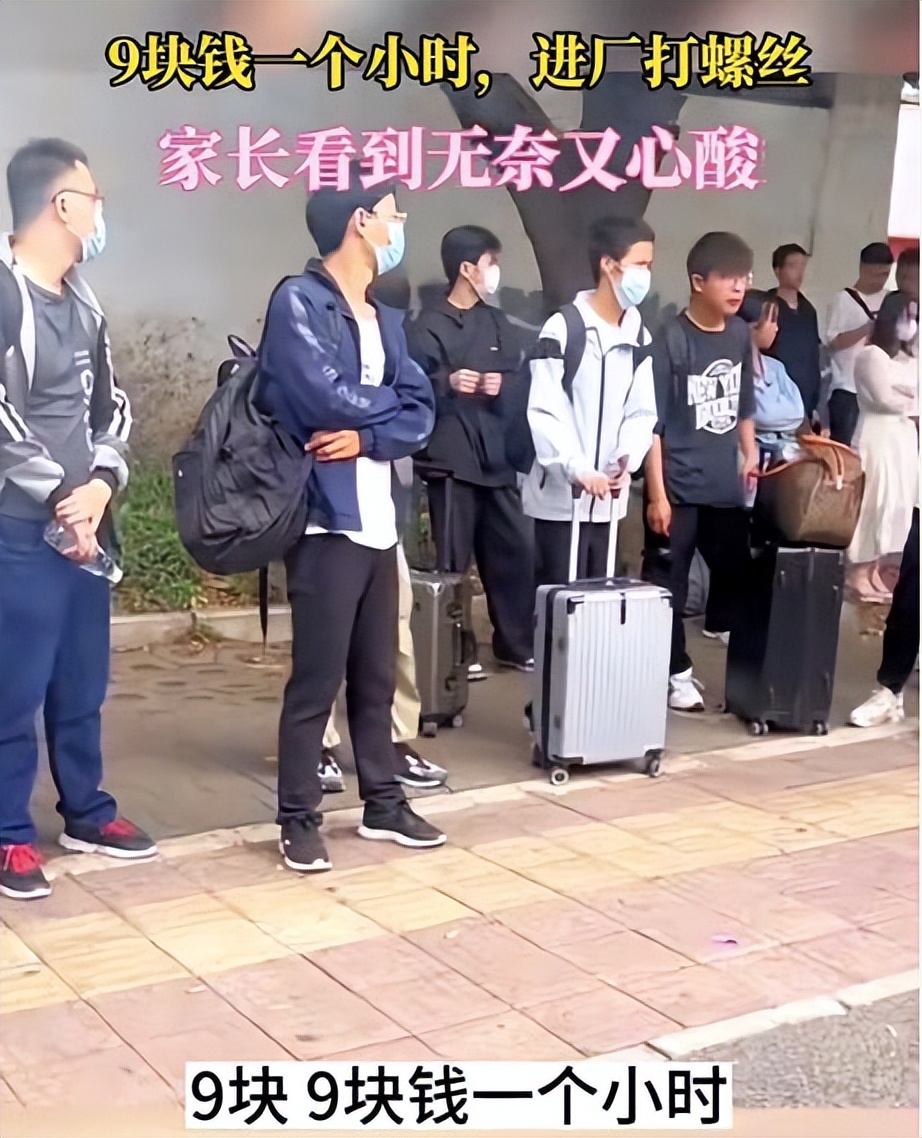大学生|中专生被当廉价劳动力，成为学校赚钱工具，网友：学校掉钱眼里了