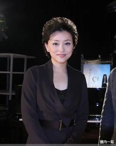 假学历？假豪门？从头假到脚？“央视名嘴”杨澜丈夫遭全网质疑？