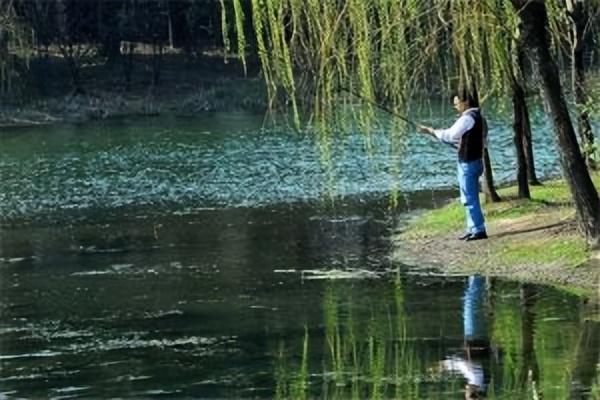 饵料|早春作钓江河，如何选择饵料？