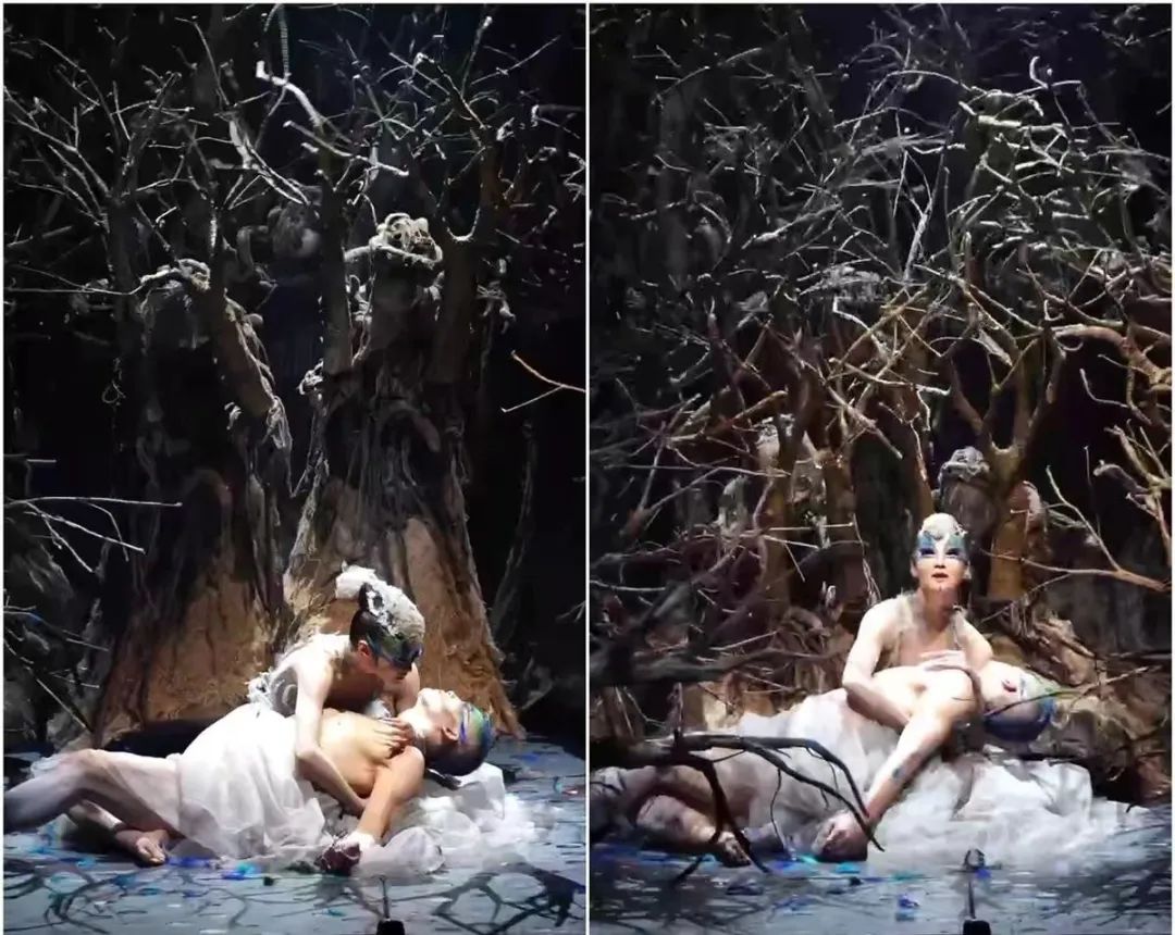 王鸥|杨丽萍孔雀舞惹不雅争议,近乎赤裸符合剧情?羽毛脱落是为了自由
