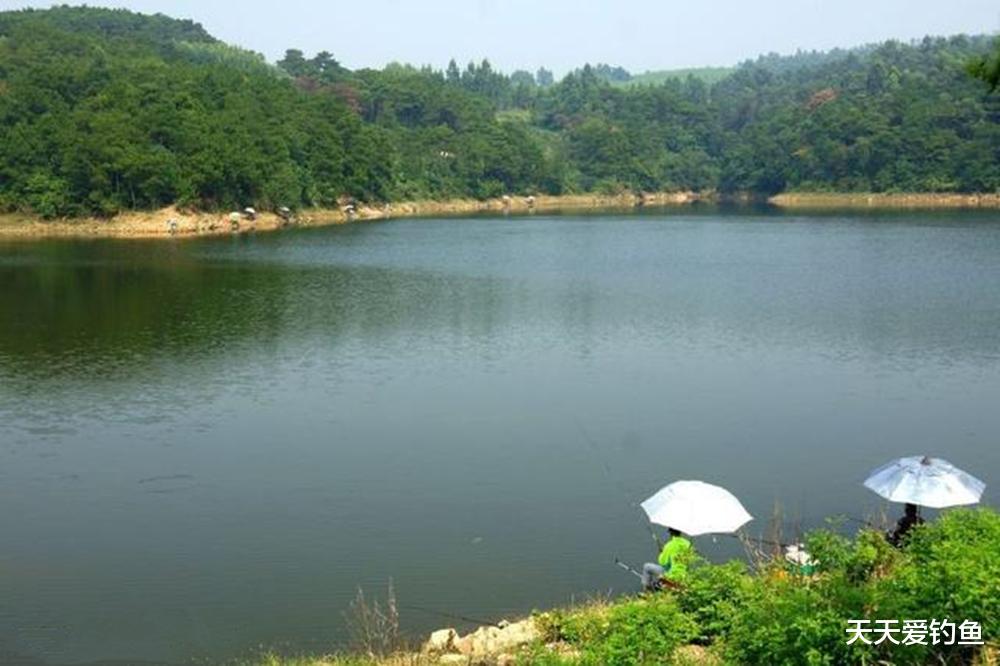 秋天钓鱼，鱼窝在这3个方向找，选对位置大鱼连竿