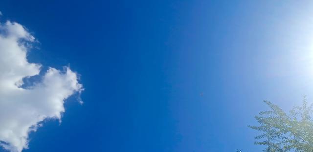 哪有什么低情商,只是懒得装