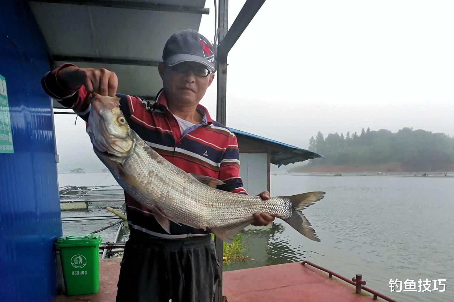 如何在鱼塘钓翘嘴?鱼塘钓翘嘴5个要领,爆护的诀窍