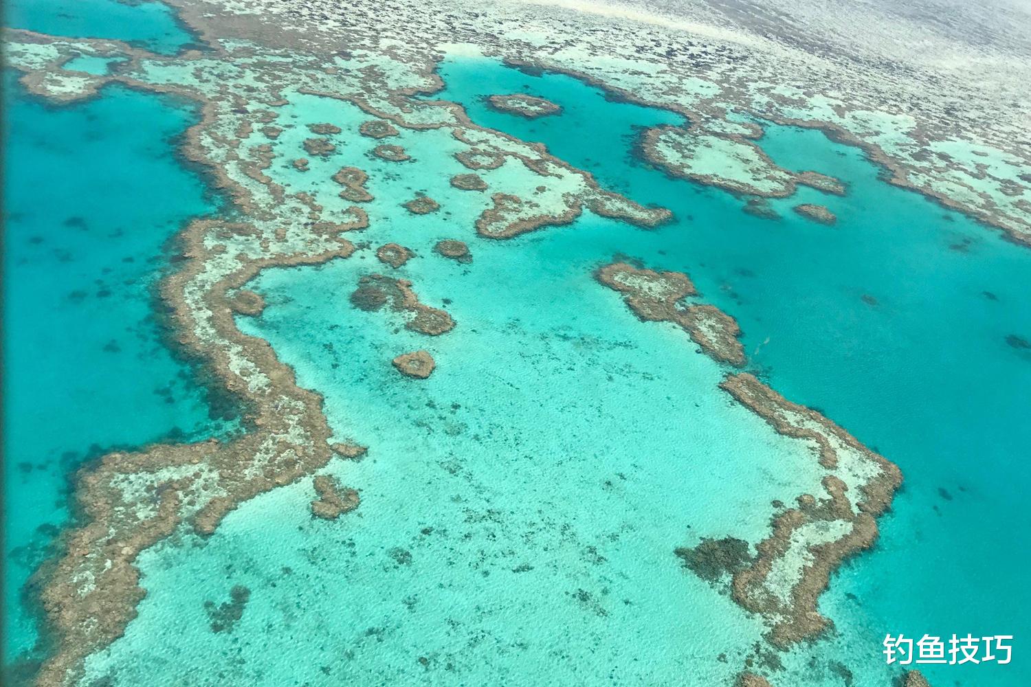 海钓|大真鲷如何钓？海钓大真鲷的5个要点