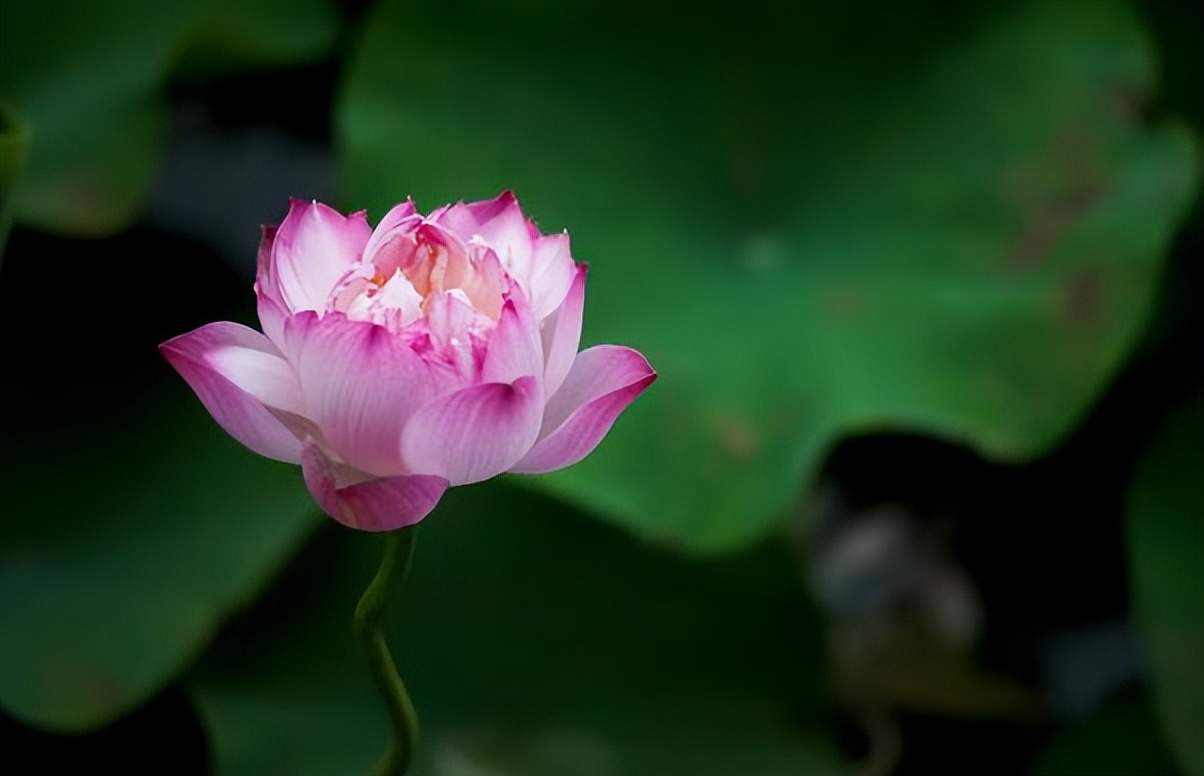 退休|退休后最好的活法：上、止、正