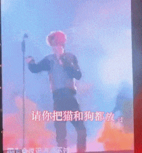 因恶犬伤人,明星们接二连三翻车,不懂审时度势,活该被怼了!