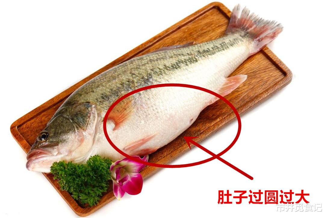 鲈鱼|买鲈鱼，要懂“海鲈”和“河鲈”的区别，差别不少，建议仔细了解