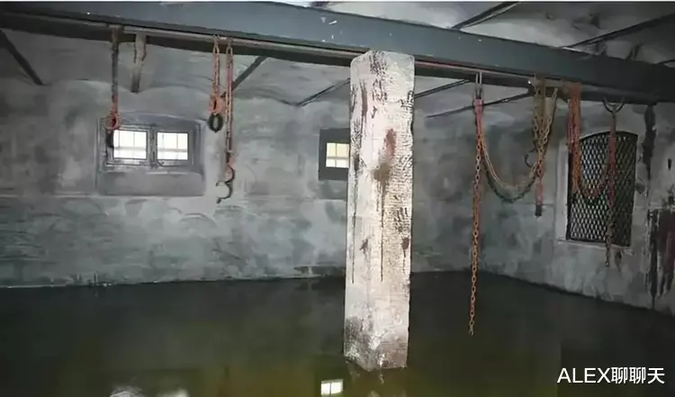 招聘|直击缅北训狗场，上万女性被困其中，把她们驯化成狗