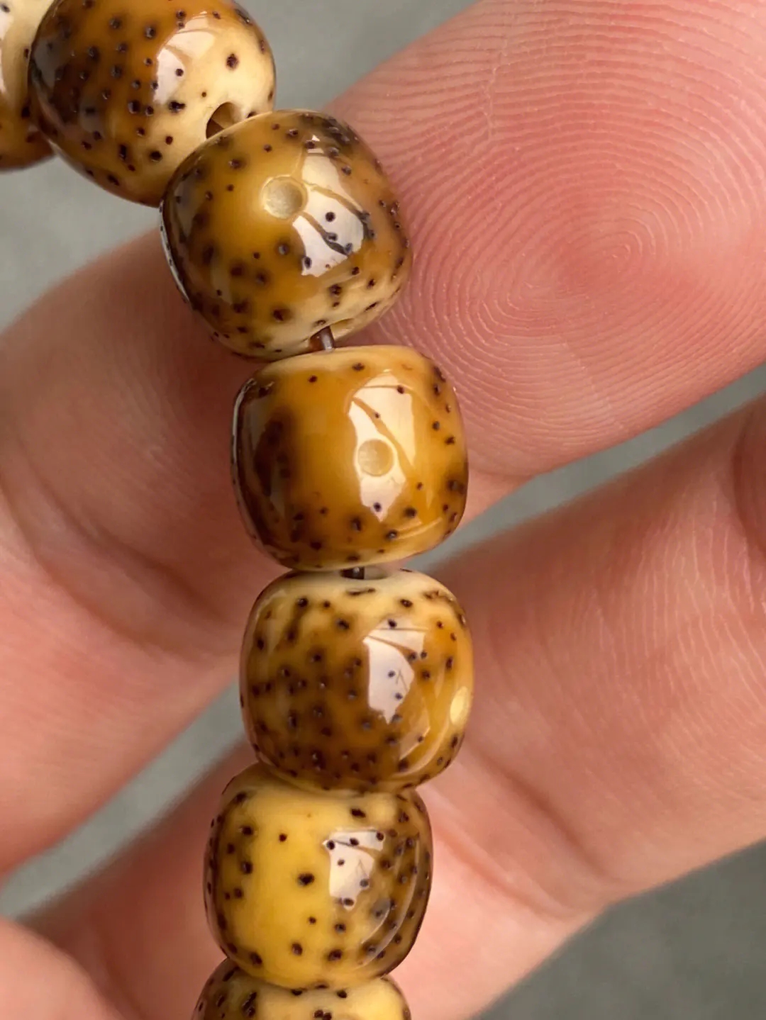 星月菩提|如何判断星月菩提的品相，如何挑选星月菩提？