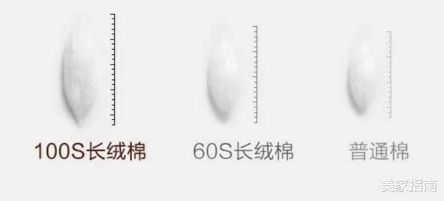 换了4次被子,我终于明白了200元被子和1000元多被子的区别
