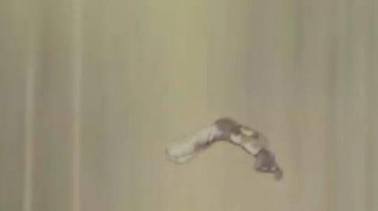 六小龄童,终究还是为自己的“连续作妖”付出了应有的代价