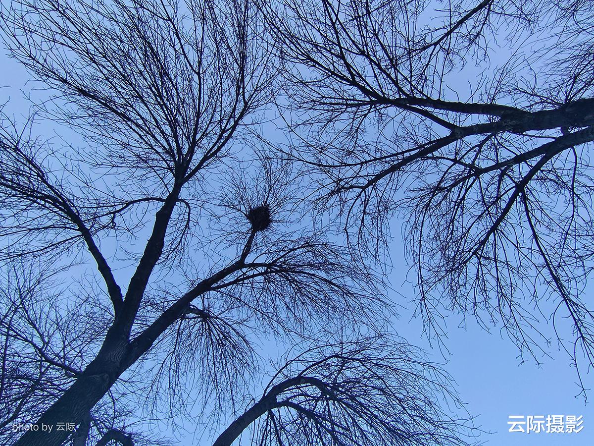 小米科技|有一说二：手机摄影的效率，带着iQOO记录北京生活