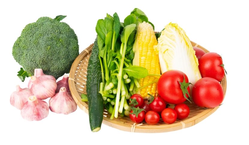 初冬扶护有一手