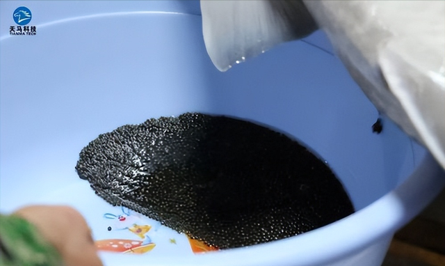 鱼子酱|俄罗斯70万一勺的鱼子酱，到了中国后，为何却变成了“白菜价”？