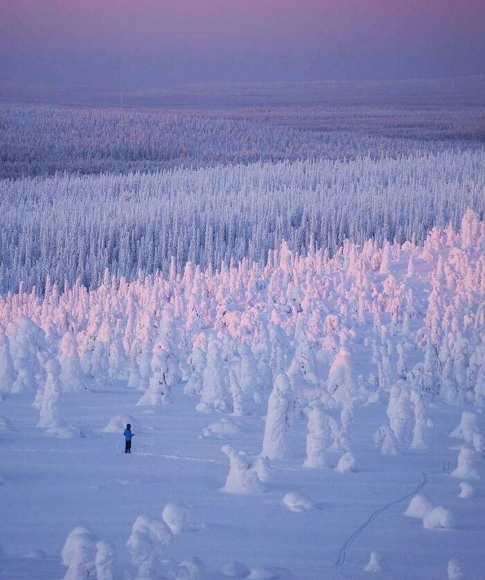 冰雪世界|冰雪世界：40张最有趣的冬季照片带你领略大自然的魔力