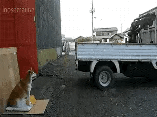 搞笑gif：这哥们胆子真大，差点挨打\uD83D\uDE02\uD83D\uDE02\uD83D\uDE02\uD83D\uDE02