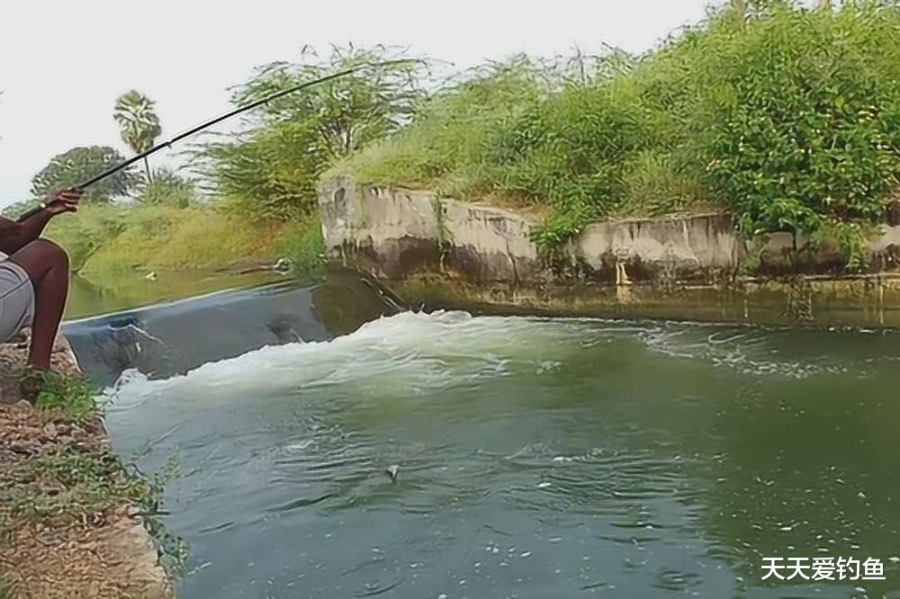 |夏季应该钓多深？选对地形还不够，更要选对深浅