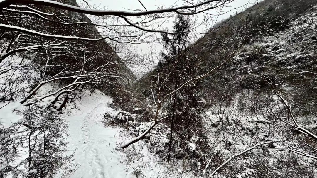 小年夜|小年夜，终南山有雪