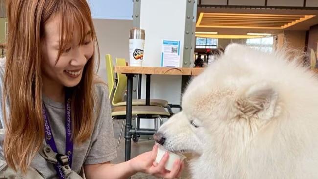 赣州|疫情过后，更多的美国人将狗带到办公室