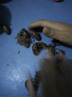 集成电路|“总经理办公室这样设计，要不要加厚隔音墙呢？”哈哈哈哈哈太有才了