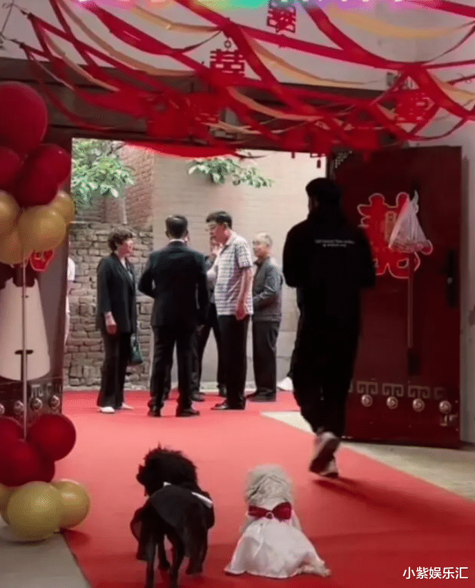 网红麦小登全新孕肚照曝光,腿上伤痕全是淤青,让人忍不住感叹