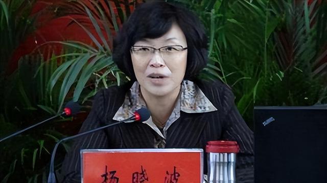 在父母的细心教导下,杨晓波从小成绩优异.