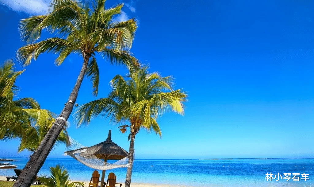 孟羽童|听说三沙一个小岛招聘守岛员,感觉就是给我量身定做的。