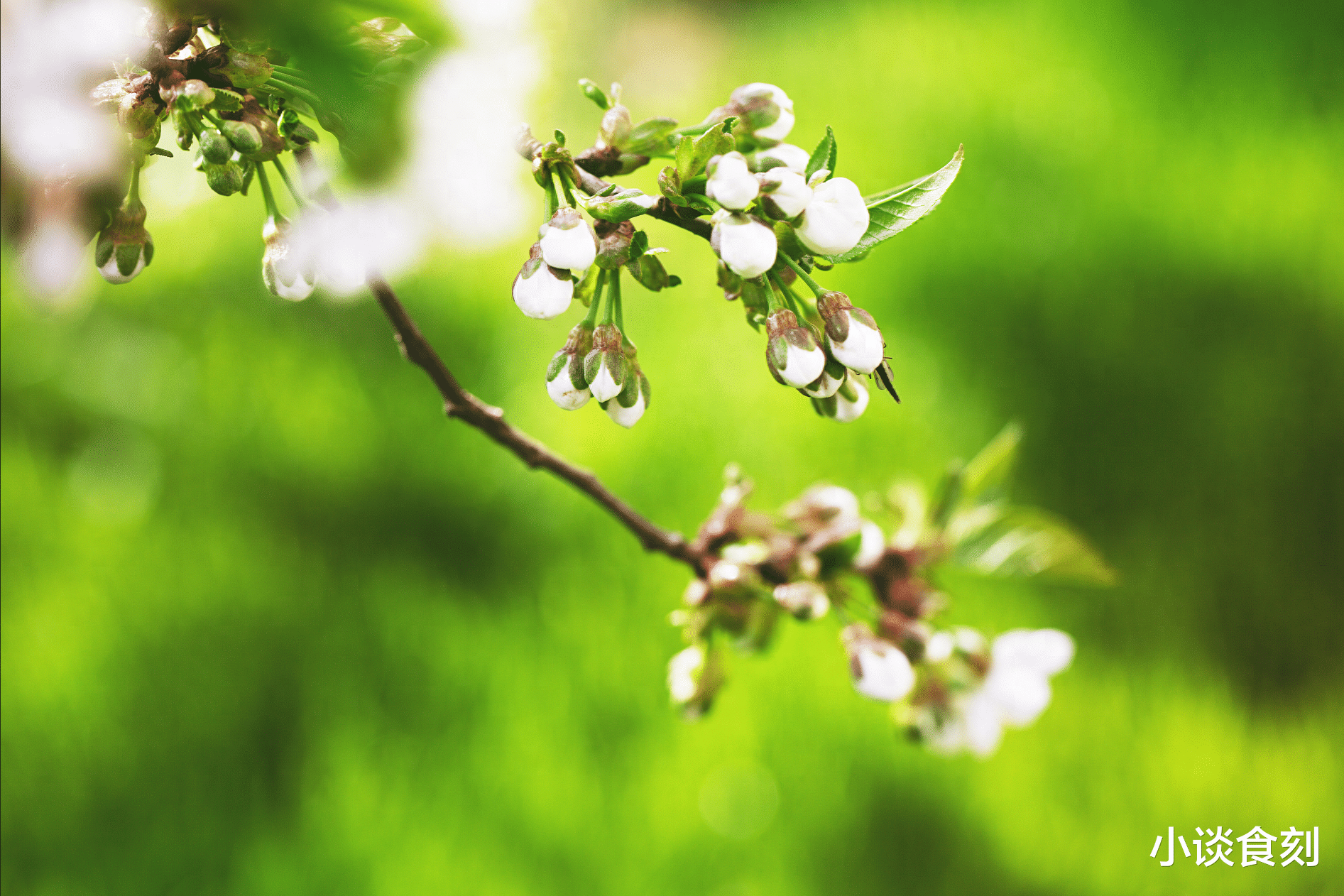 |俗语“一年没有春,寡妇遍地分”,2024是“无春年”,有啥讲究?