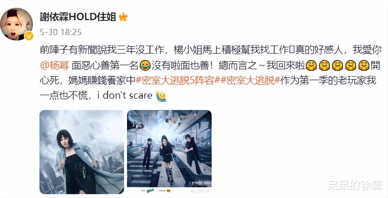 谢依霖|耿直的何炅，让观众看清谢依霖的为人，《向往的生活》太好哭了