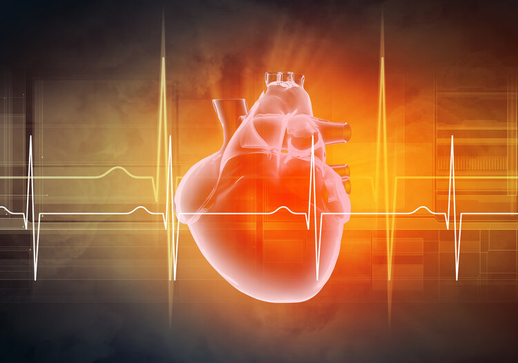 心脏|被称为“心脏发动机”的辅酶Q10，真的有那么神？为你揭开真相