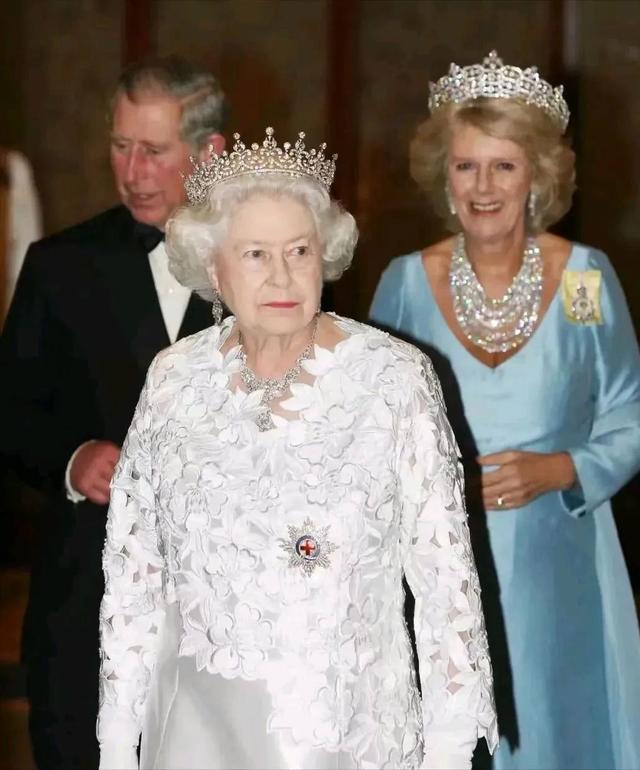 王后熬走婆婆,阻止威廉继承王位,安妮:卡米拉,你白日做梦