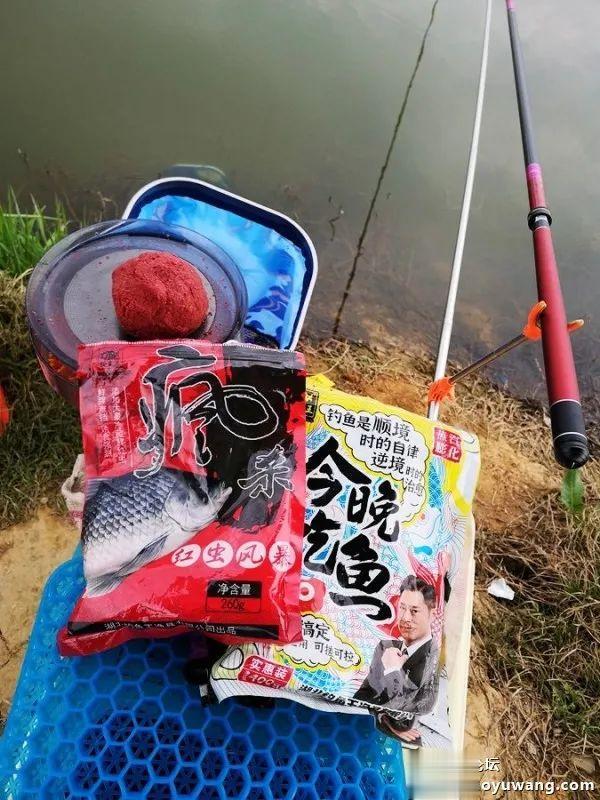 钓鱼|杂鱼钓尽鲫始来