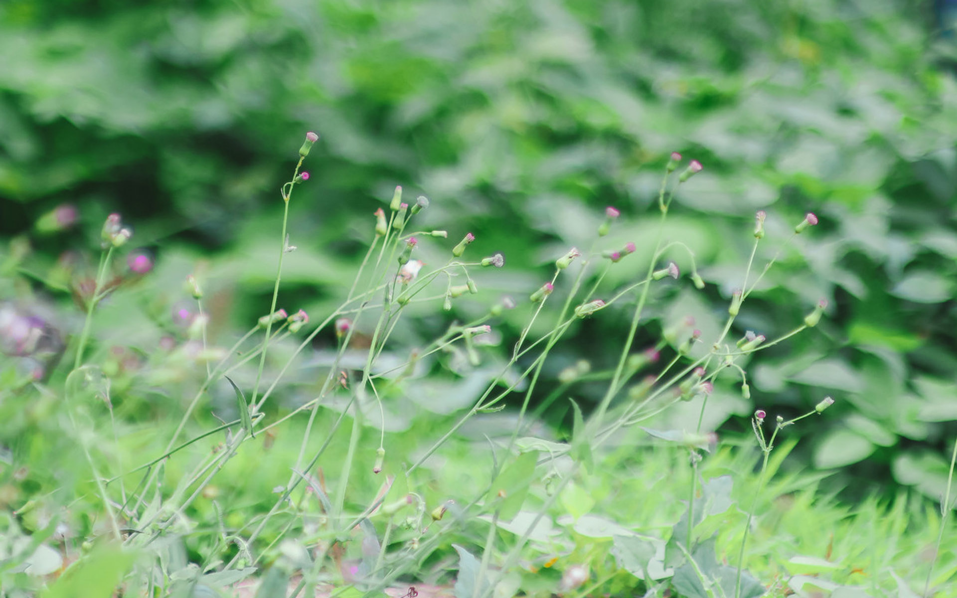 八月，好运一触即发，4大生肖喜事天降，财运回归，越过越富裕