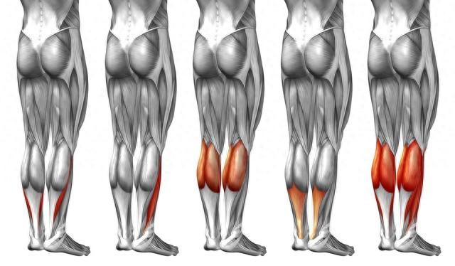 为何一骨折,往往会引发肌肉萎缩?要想肌肉促进恢复,做好3件事