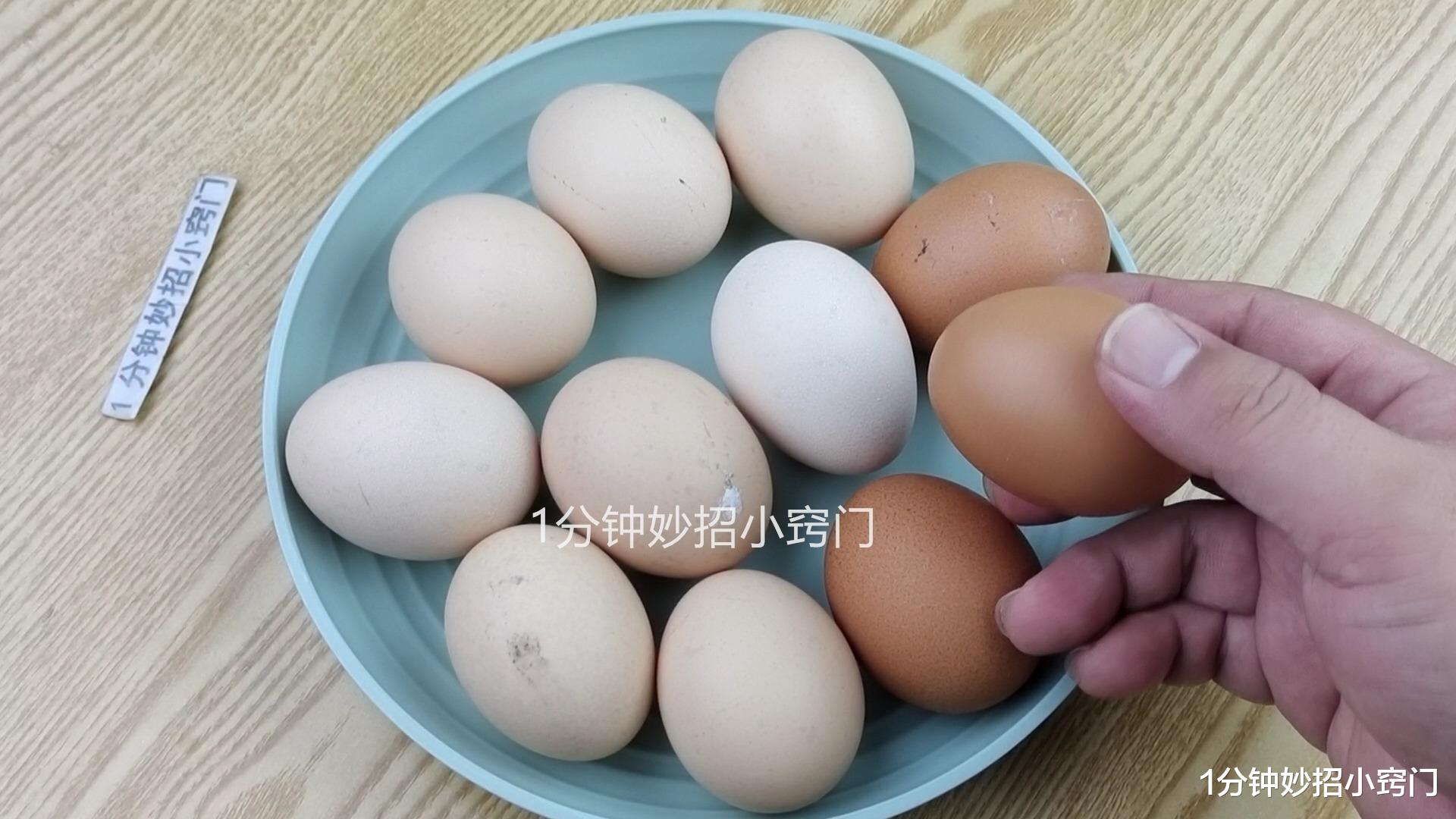 鸡蛋|鸡蛋是挑大的好还是小的好?养殖户说漏嘴,以后别买错了