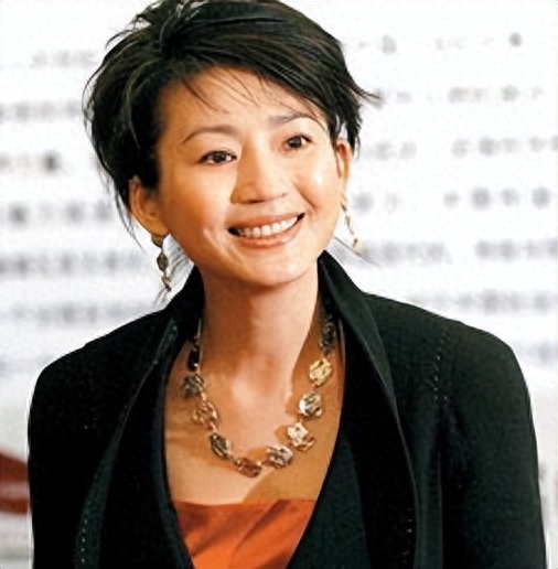 曾红过董卿的王小丫,二婚嫁大13岁副国级,今55岁无儿无女太凄凉