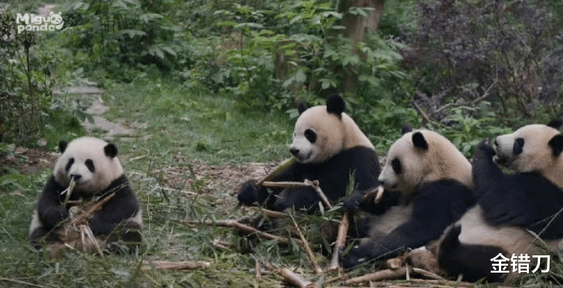 2023年十大网红：封神还是封杀，都在一念之间！