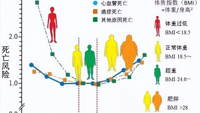 运动 寿命与体重有关？年过60，这样的体重刚刚好，你达标了吗