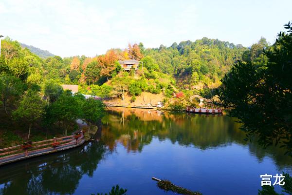太阳岛|寻乌花开了，美不美？