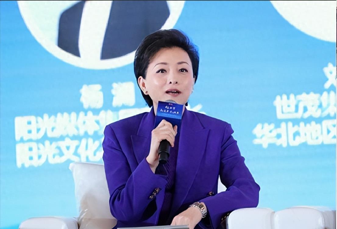 “央视一姐”杨澜:为200斤百亿富豪与丈夫离婚,如今现状如何?