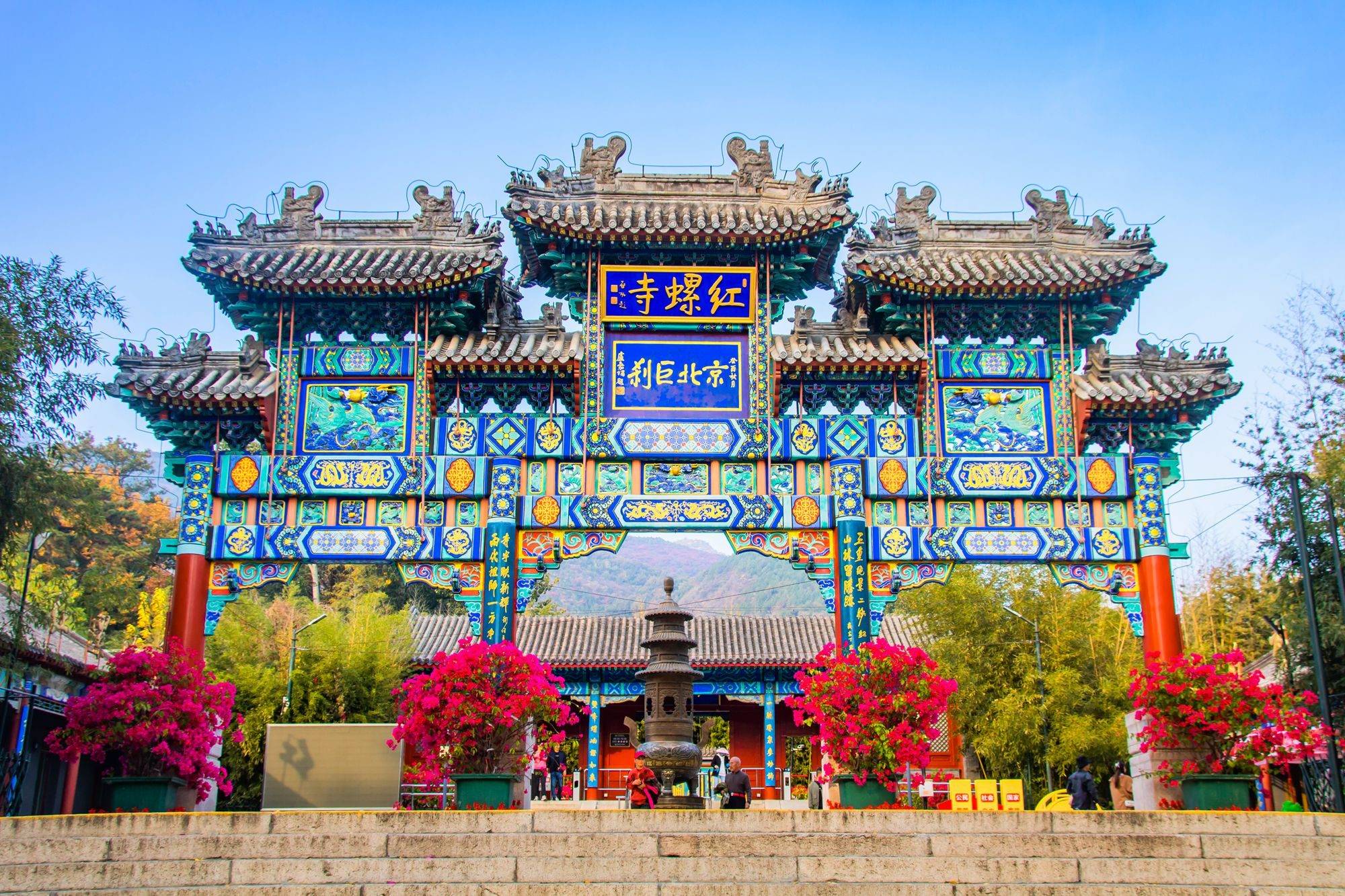 墨脱|北京怀柔红螺寺，一树繁盛满眼金蝶，赏千年古刹绝美秋色