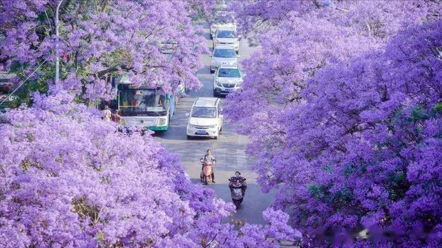 亲情冷暖，丈夫去世，女儿考上大学：她们如何面对家人无耻要求？