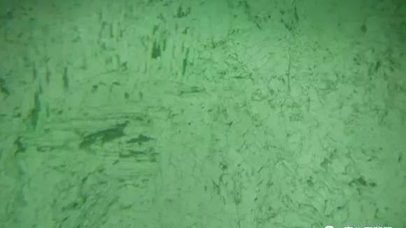 翡翠|行家讲述：凭肉眼如何辨别翡翠的真假？