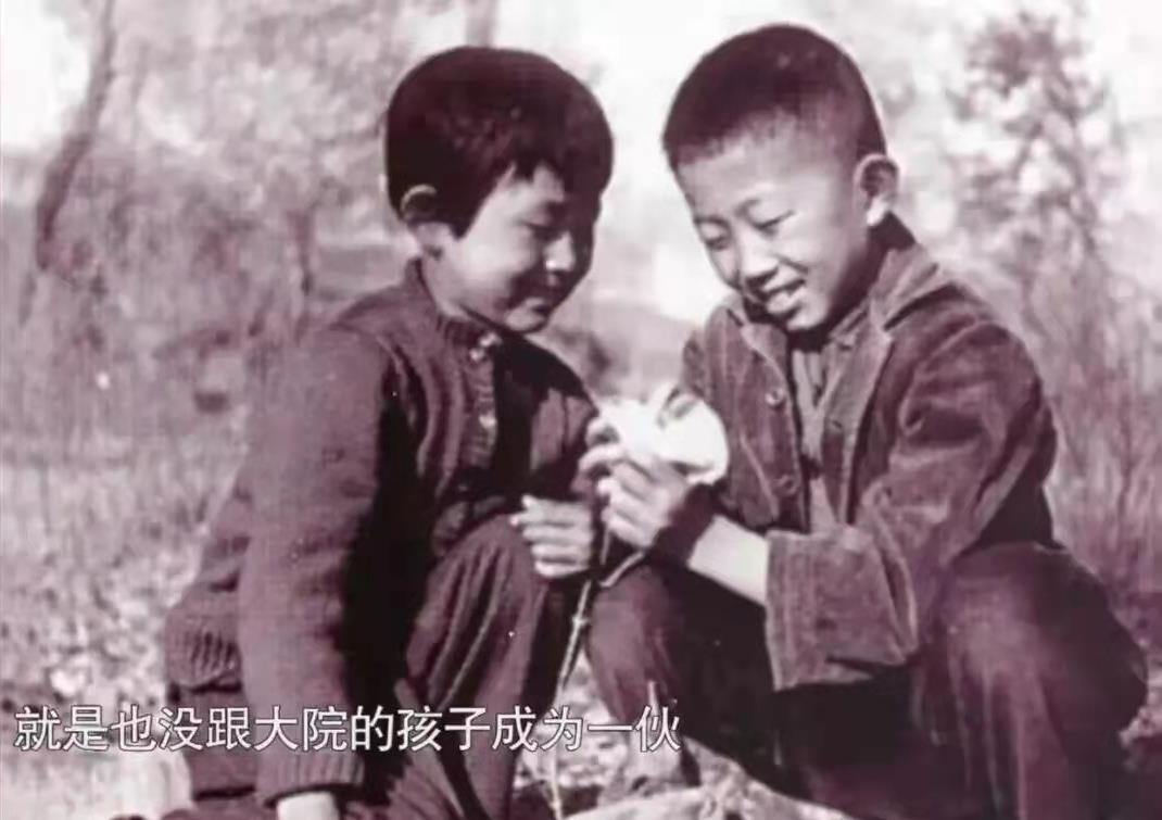 陈瑾:一辈子不婚不育,却与巫刚相伴20年,如今59岁常被恶梦惊醒