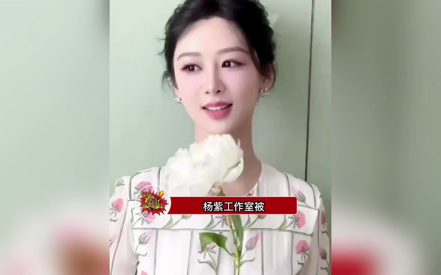 杨紫|杨紫工作室被指P图不P镜子