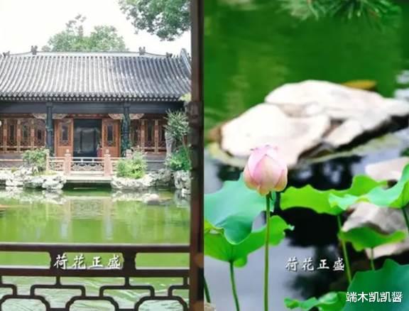 王艳近照老到认不出，头发变白瘦出排骨胸，婆婆去世后疑净身出户