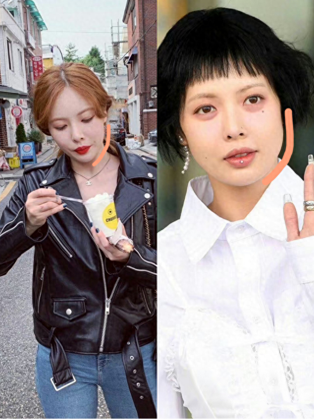 7年不吃碳水,能躲过“韩国酵母”吗?