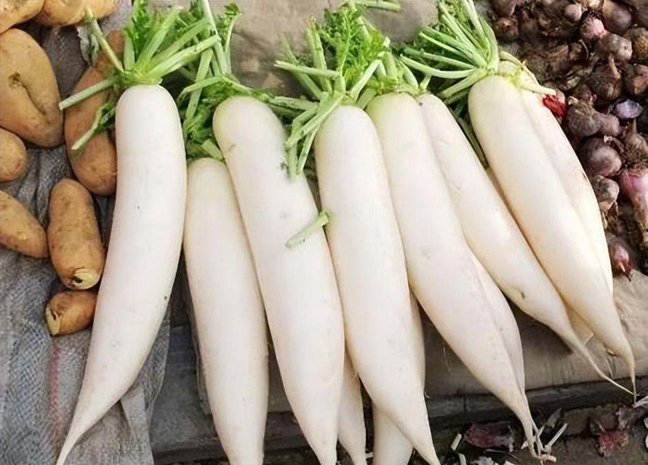 白菜|萝卜白菜价格腰斩,农产品市场遇“寒冬”