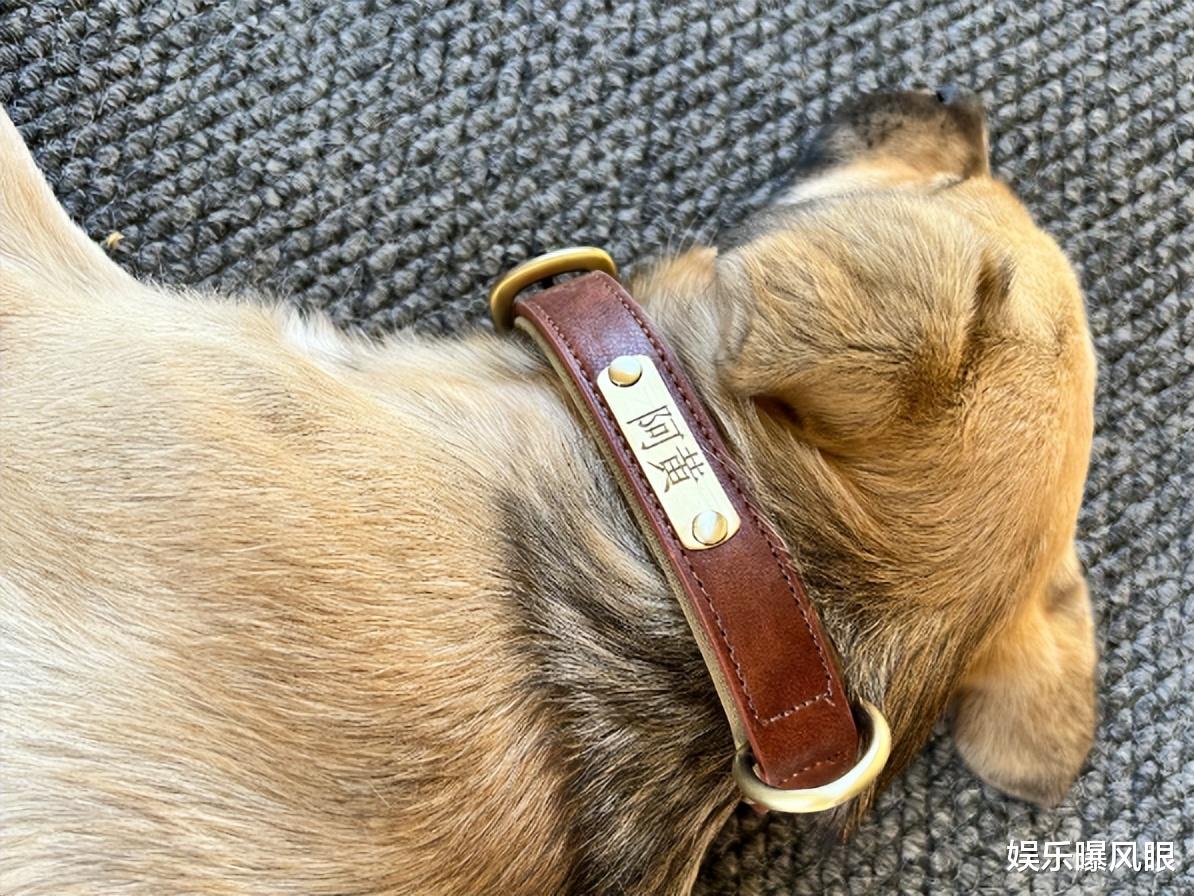 baby首晒母子合照!小海绵头发及肩,给爱犬起名“阿黄”引热议